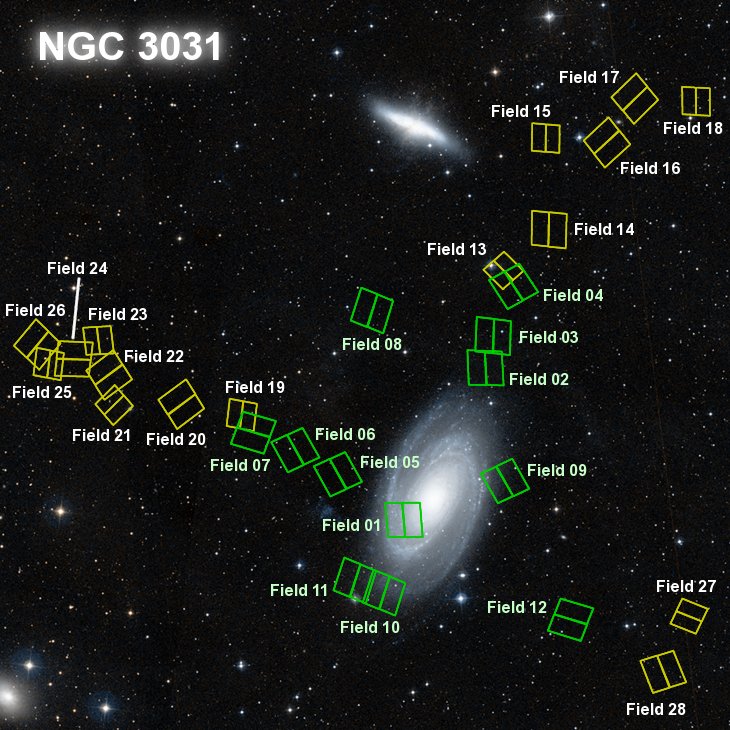 NGC3031